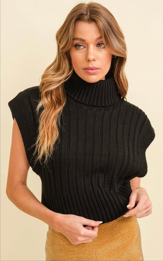 Rib Knit Sweater Vest